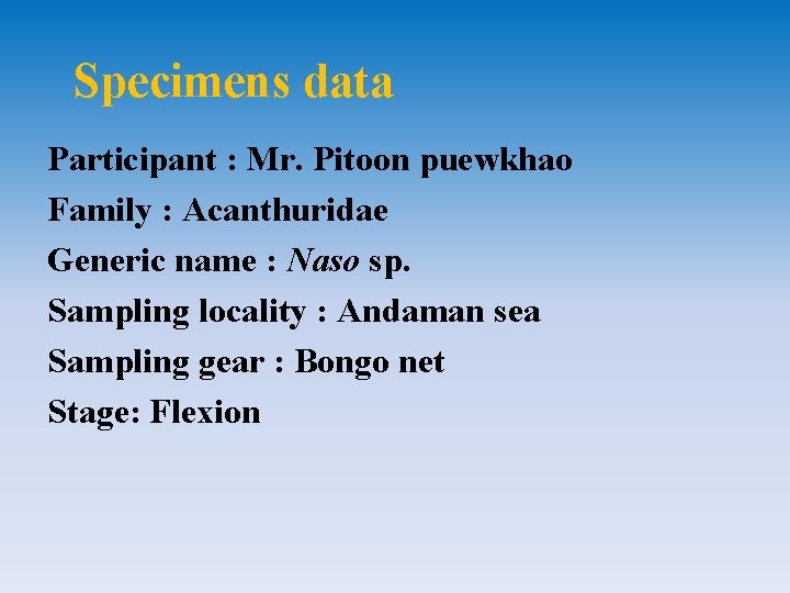 Specimens data Participant : Mr. Pitoon puewkhao Family : Acanthuridae Generic name : Naso