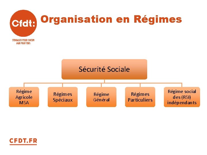 Organisation en Régimes Sécurité Sociale Régime Mandaté(e)s de la Agricole protection sociale MSA Régimes