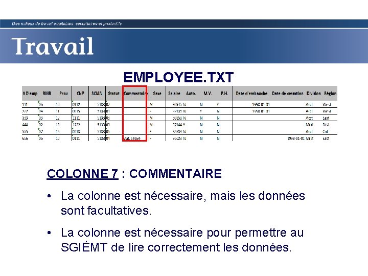 EMPLOYEE. TXT COLONNE 7 : COMMENTAIRE • La colonne est nécessaire, mais les données