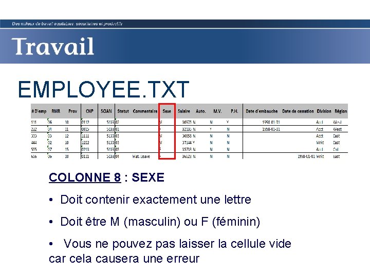 EMPLOYEE. TXT COLONNE 8 : SEXE • Doit contenir exactement une lettre • Doit