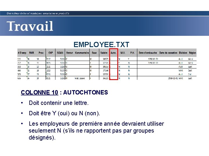 EMPLOYEE. TXT COLONNE 10 : AUTOCHTONES • Doit contenir une lettre. • Doit être