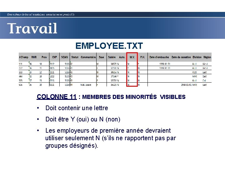 EMPLOYEE. TXT COLONNE 11 : MEMBRES DES MINORITÉS VISIBLES • Doit contenir une lettre