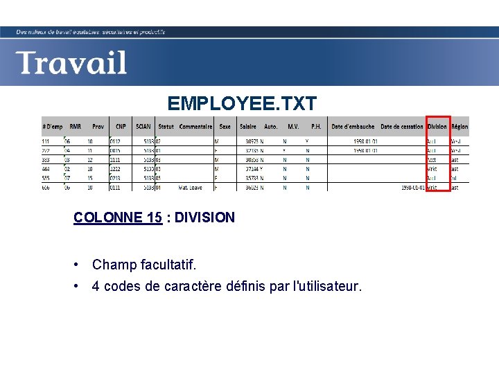 EMPLOYEE. TXT COLONNE 15 : DIVISION • Champ facultatif. • 4 codes de caractère