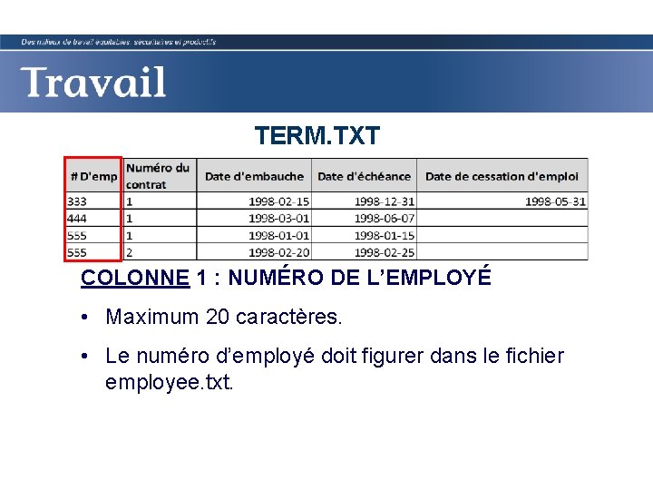 TERM. TXT COLONNE 1 : NUMÉRO DE L’EMPLOYÉ • Maximum 20 caractères. • Le