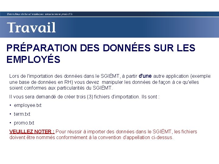 PRÉPARATION DES DONNÉES SUR LES EMPLOYÉS Lors de l'importation des données dans le SGIÉMT,