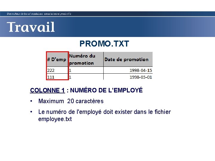 PROMO. TXT COLONNE 1 : NUMÉRO DE L’EMPLOYÉ • Maximum 20 caractères • Le