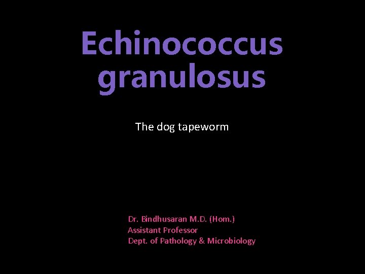 Echinococcus granulosus The dog tapeworm Dr. Bindhusaran M. D. (Hom. ) Assistant Professor Dept.