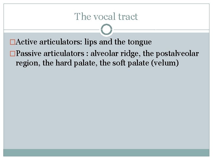 The vocal tract �Active articulators: lips and the tongue �Passive articulators : alveolar ridge,