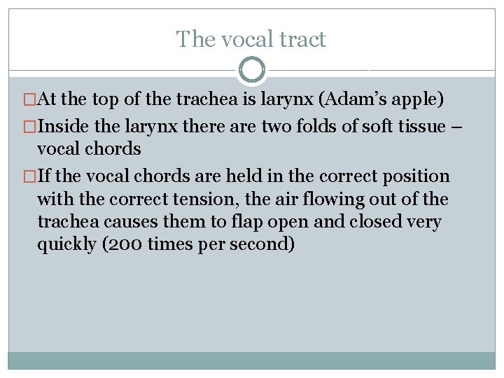 The vocal tract �At the top of the trachea is larynx (Adam’s apple) �Inside