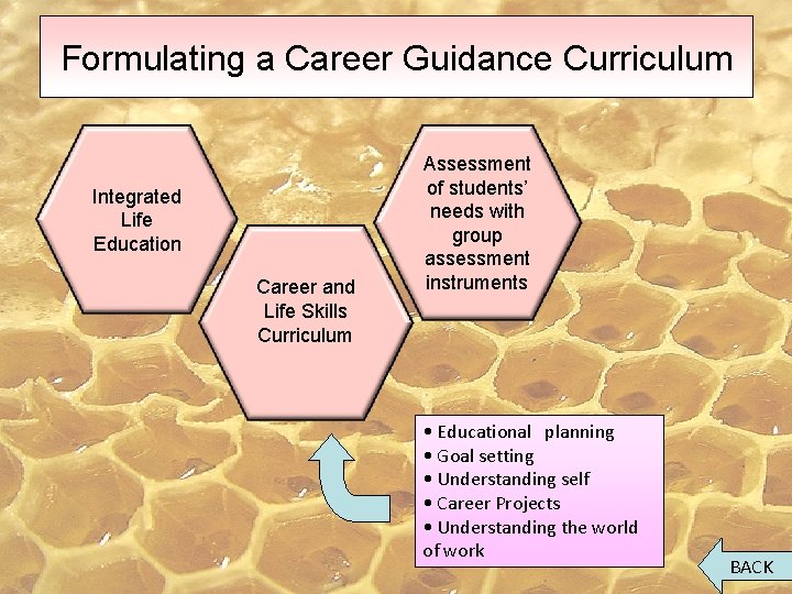 Formulating a Career Guidance Curriculum Integrated Life Education Career and Life Skills Curriculum Assessment