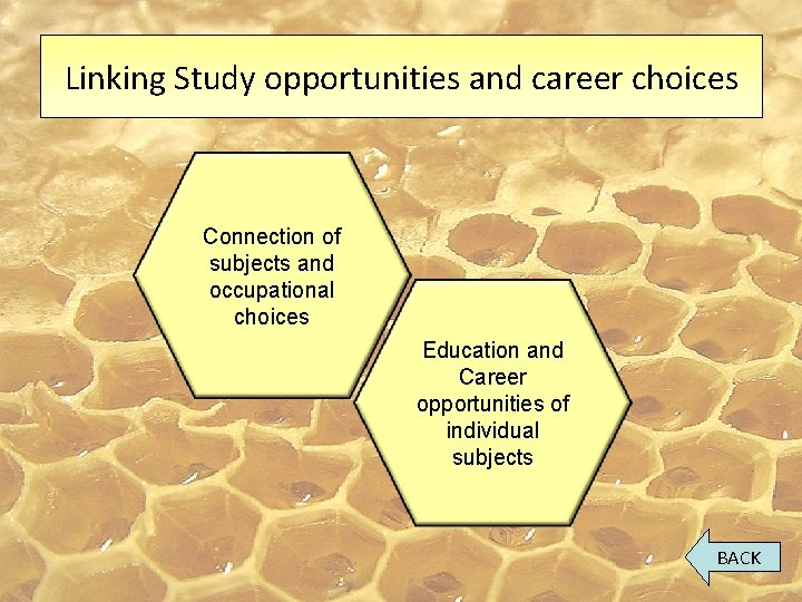 Linking Study opportunities and career choices Connection of subjects and occupational choices Education and