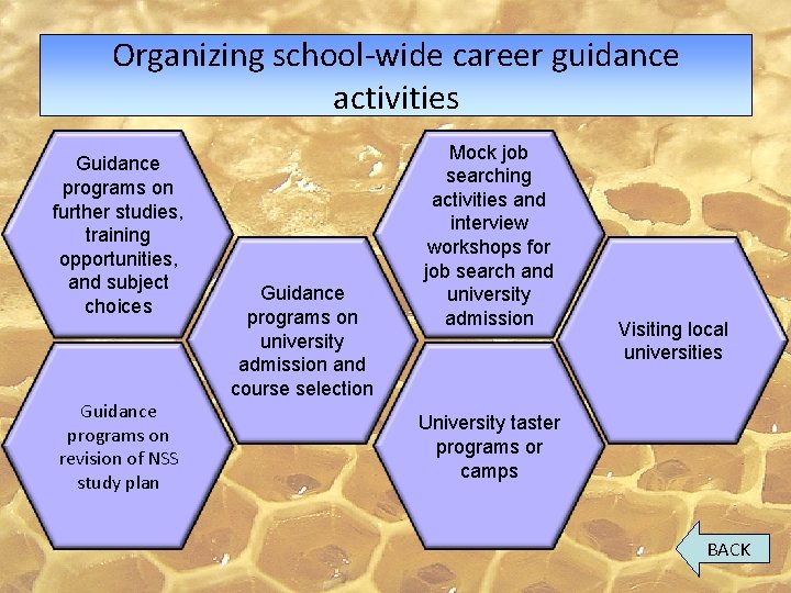 Organizing school-wide career guidance activities Guidance programs on further studies, training opportunities, and subject