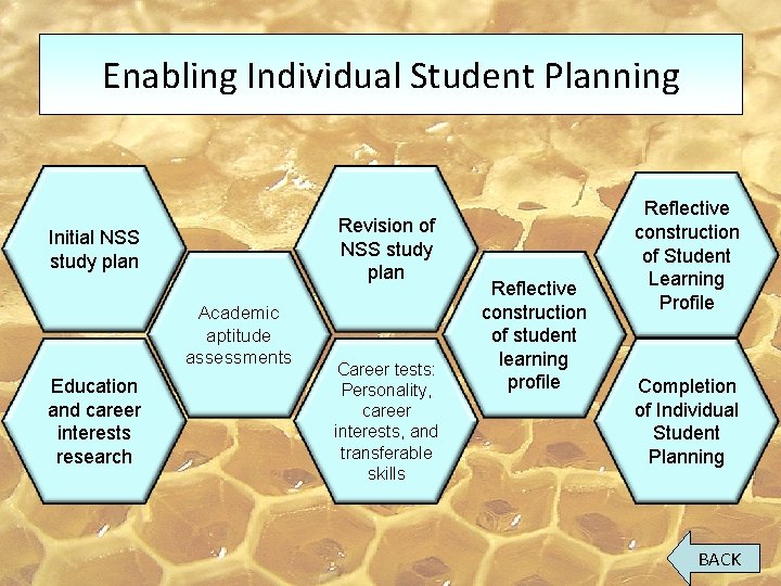 Enabling Individual Student Planning Revision of NSS study plan Initial NSS study plan Academic