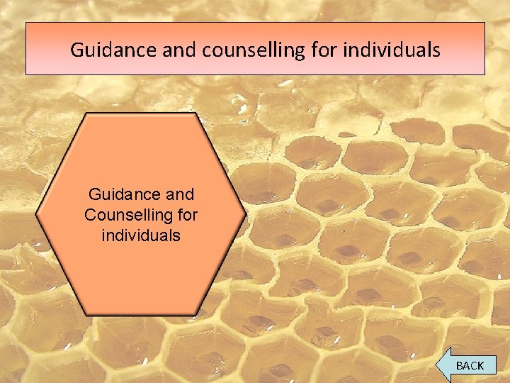 Guidance and counselling for individuals Guidance and Counselling for individuals BACK 