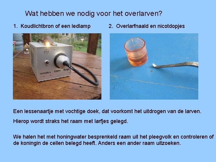 Wat hebben we nodig voor het overlarven? 1. Koudlichtbron of een ledlamp 2. Overlarfnaald