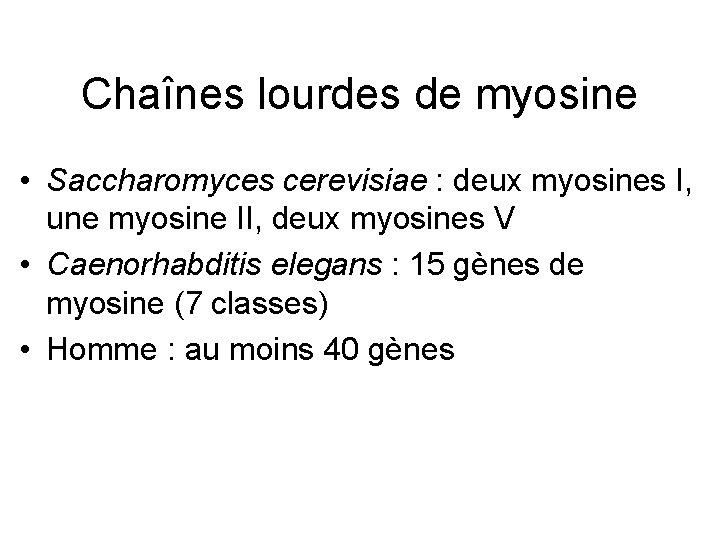 Chaînes lourdes de myosine • Saccharomyces cerevisiae : deux myosines I, une myosine II,