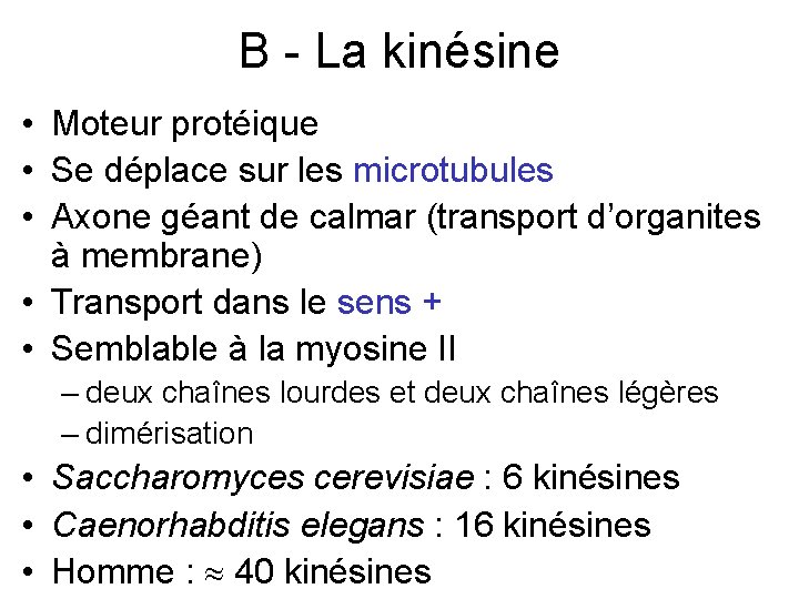 B - La kinésine • Moteur protéique • Se déplace sur les microtubules •