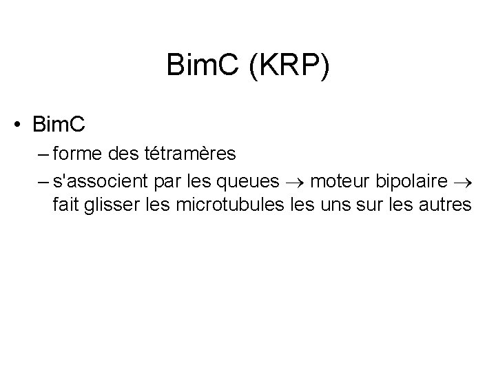 Bim. C (KRP) • Bim. C – forme des tétramères – s'associent par les
