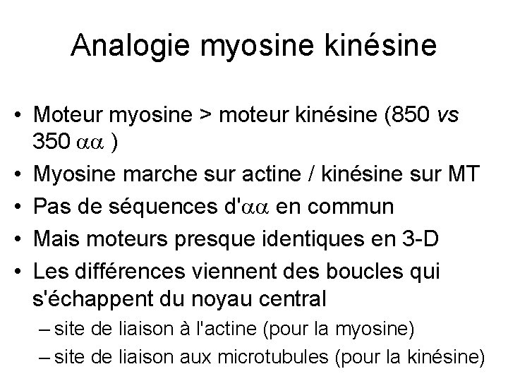 Analogie myosine kinésine • Moteur myosine > moteur kinésine (850 vs 350 ) •