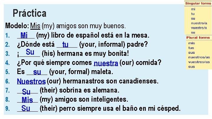 Práctica Modelo: Mis (my) amigos son muy buenos. 1. _____ Mi (my) libro de