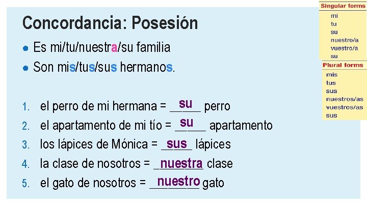 Concordancia: Posesión ● Es mi/tu/nuestra/su familia ● Son mis/tus/sus hermanos. su perro 1. el