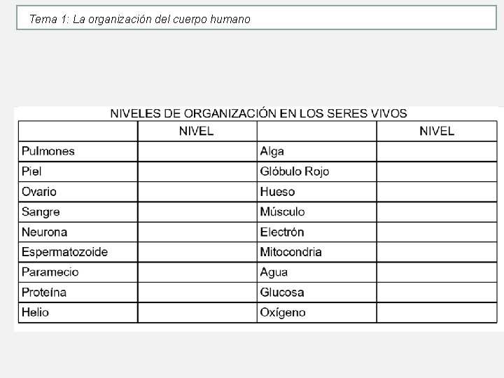 Tema 1: La organización del cuerpo humano Tema 1: La organización del cuerpo humano