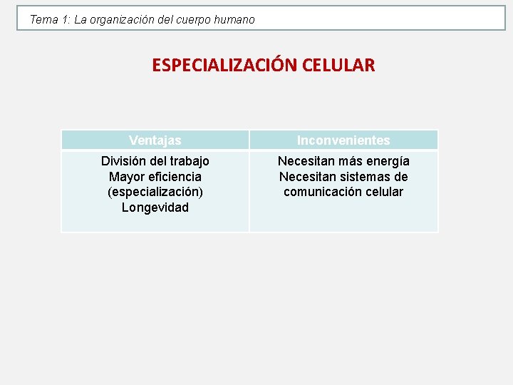 Tema 1: La organización del cuerpo humano ESPECIALIZACIÓN CELULAR Ventajas Inconvenientes División del trabajo Tema 1: La organización del cuerpo humano ESPECIALIZACIÓN CELULAR Ventajas Inconvenientes División del trabajo