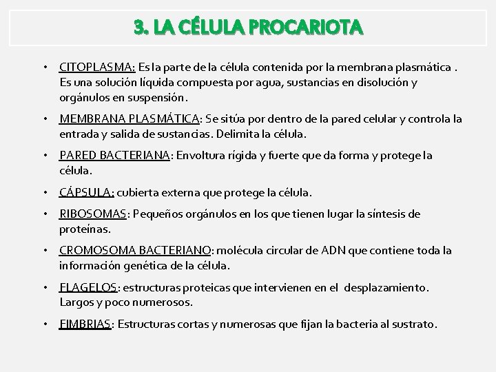 3. LA CÉLULA PROCARIOTA • CITOPLASMA: Es la parte de la célula contenida por 3. LA CÉLULA PROCARIOTA • CITOPLASMA: Es la parte de la célula contenida por