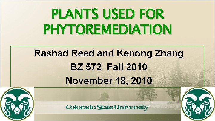 PLANTS USED FOR PHYTOREMEDIATION Rashad Reed and Kenong Zhang BZ 572 Fall 2010 November