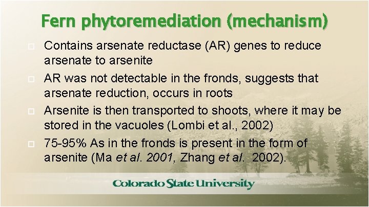 Fern phytoremediation (mechanism) Contains arsenate reductase (AR) genes to reduce arsenate to arsenite AR