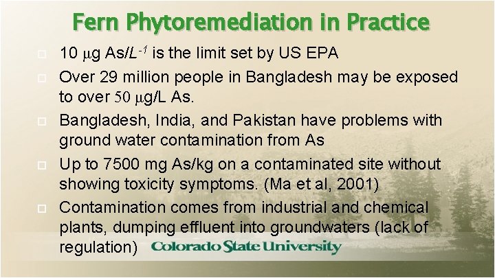 Fern Phytoremediation in Practice 10 μg As/L-1 is the limit set by US EPA