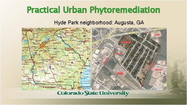 Practical Urban Phytoremediation Hyde Park neighborhood: Augusta, GA 