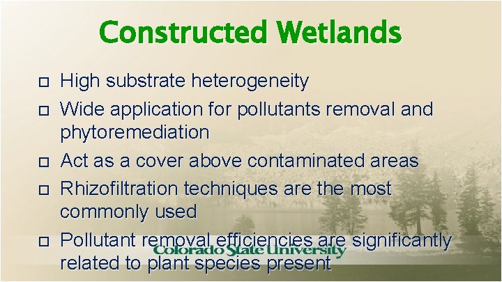 Constructed Wetlands High substrate heterogeneity Wide application for pollutants removal and phytoremediation Act as