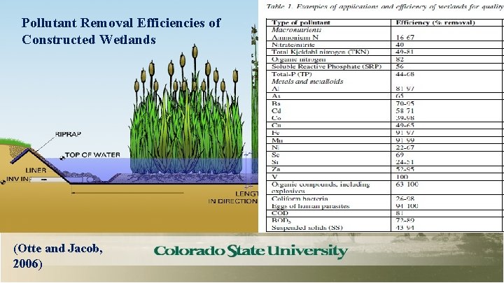 Pollutant Removal Efficiencies of Constructed Wetlands (Otte and Jacob, 2006) 