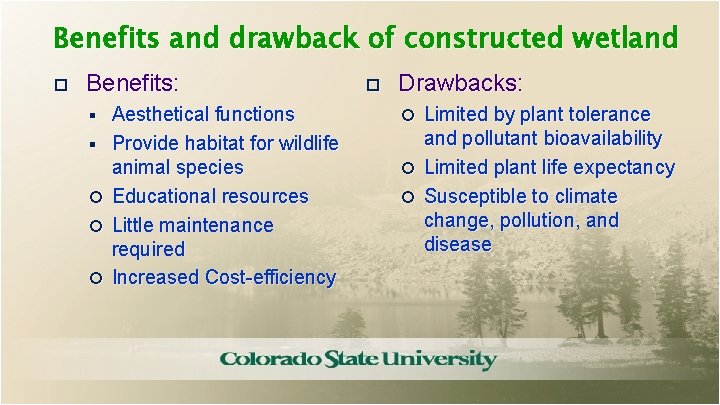 Benefits and drawback of constructed wetland Benefits: Benefits § § Aesthetical functions Provide habitat