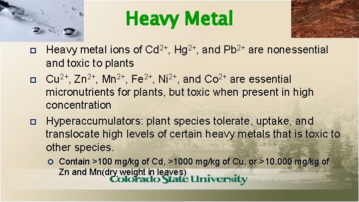 Heavy Metal Heavy metal ions of Cd 2+, Hg 2+, and Pb 2+ are