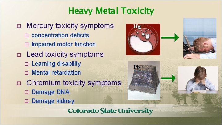 Heavy Metal Toxicity Mercury toxicity symptoms Hg concentration deficits Impaired motor function Lead toxicity