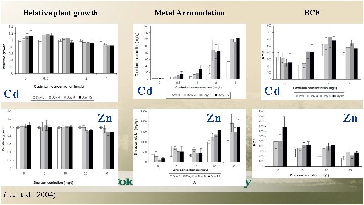 Relative plant growth Cd Cd Zn (Lu et al. , 2004) Metal Accumulation BCF