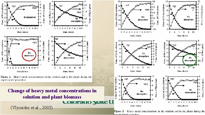 Change of heavy metal concentrations in solution and plant biomass (Vlyssides et al. ,