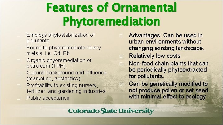 Features of Ornamental Phytoremediation � � � Employs phytostabilization of pollutants Found to phytoremediate