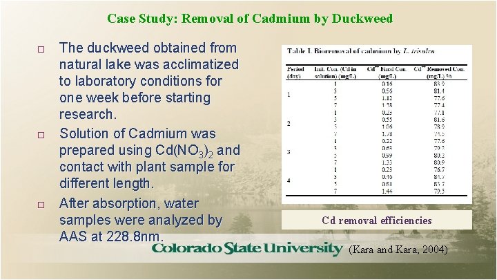 Case Study: Removal of Cadmium by Duckweed The duckweed obtained from natural lake was