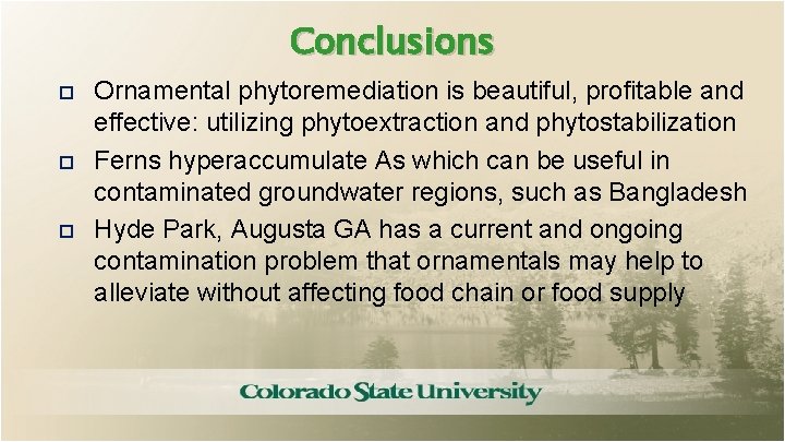 Conclusions Ornamental phytoremediation is beautiful, profitable and effective: utilizing phytoextraction and phytostabilization Ferns hyperaccumulate