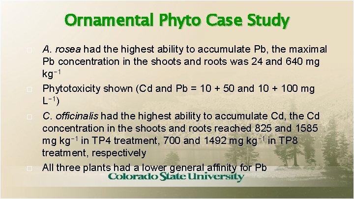 Ornamental Phyto Case Study A. rosea had the highest ability to accumulate Pb, the