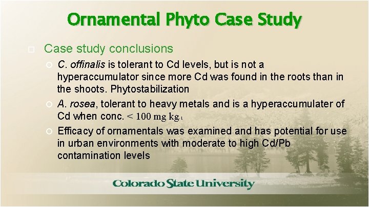 Ornamental Phyto Case Study Case study conclusions C. offinalis is tolerant to Cd levels,