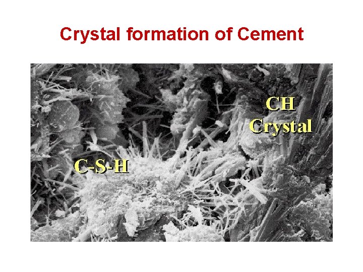 Crystal formation of Cement Crystal formation of Cement