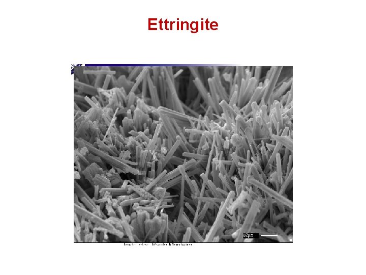 Ettringite Ettringite