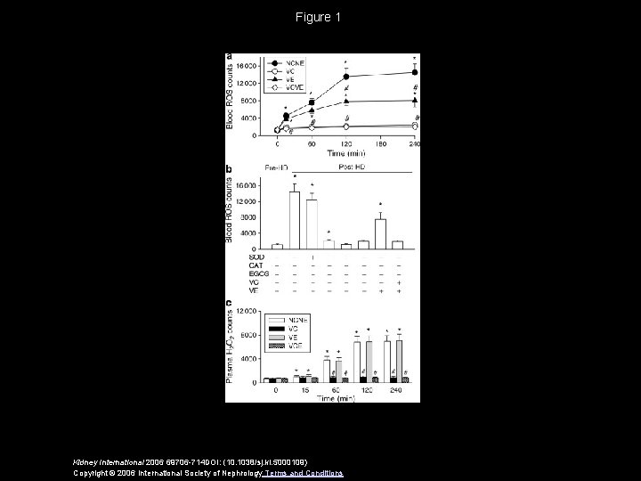 Figure 1 Kidney International 2006 69706 -714 DOI: (10. 1038/sj. ki. 5000109) Copyright ©