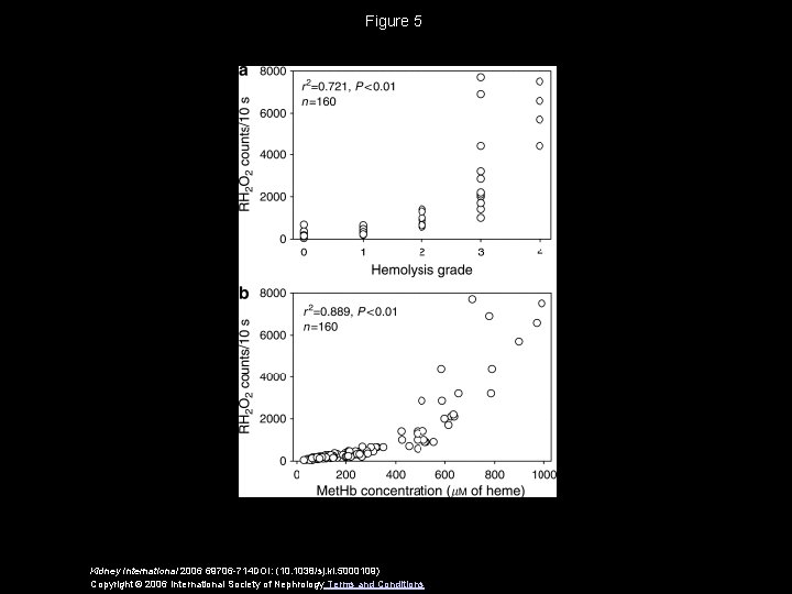 Figure 5 Kidney International 2006 69706 -714 DOI: (10. 1038/sj. ki. 5000109) Copyright ©