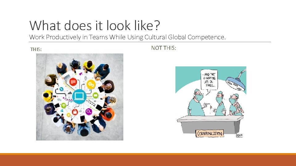 What does it look like? Work Productively in Teams While Using Cultural Global Competence.