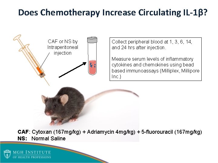 Does Chemotherapy Increase Circulating IL-1β? CAF or NS by Intraperitoneal injection Collect peripheral blood